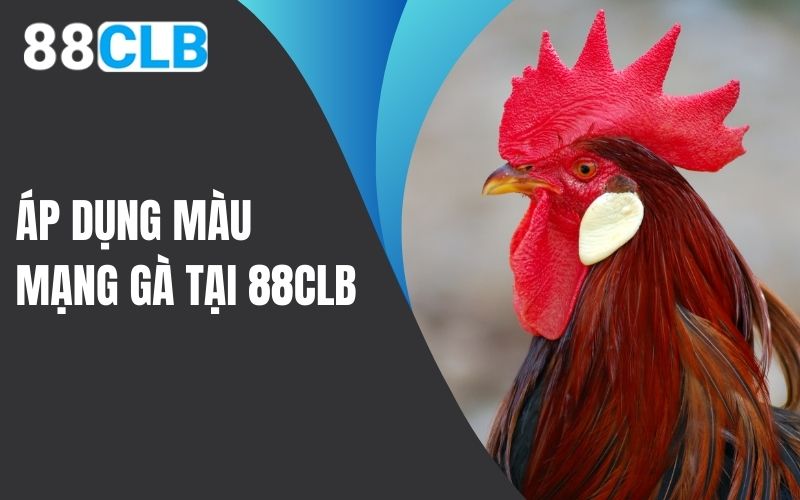 Áp dụng màu mạng gà đá tại 88CLB