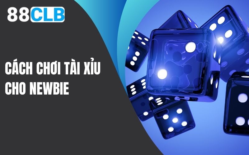 Cách chơi tài xỉu online cho newbie