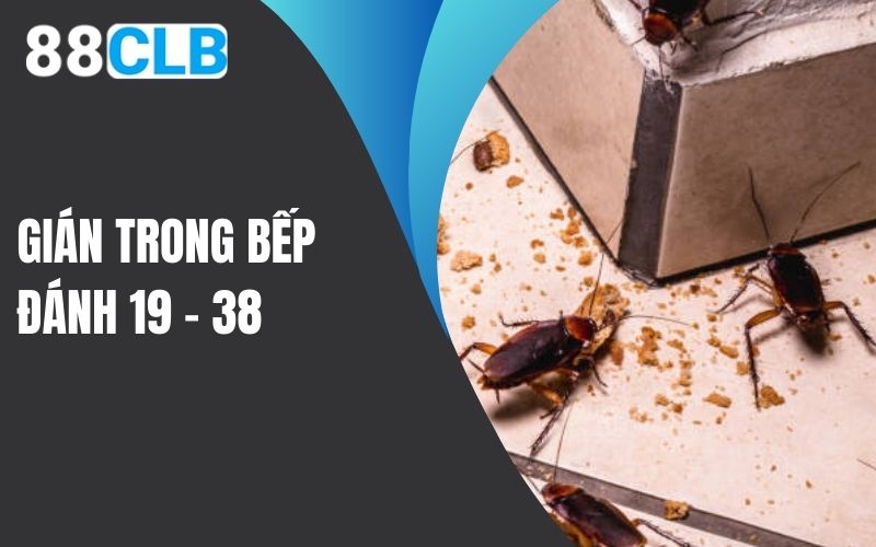 Mơ thấy gián trong nhà bếp