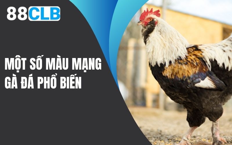 Một số màu mạng gà đá phổ biến