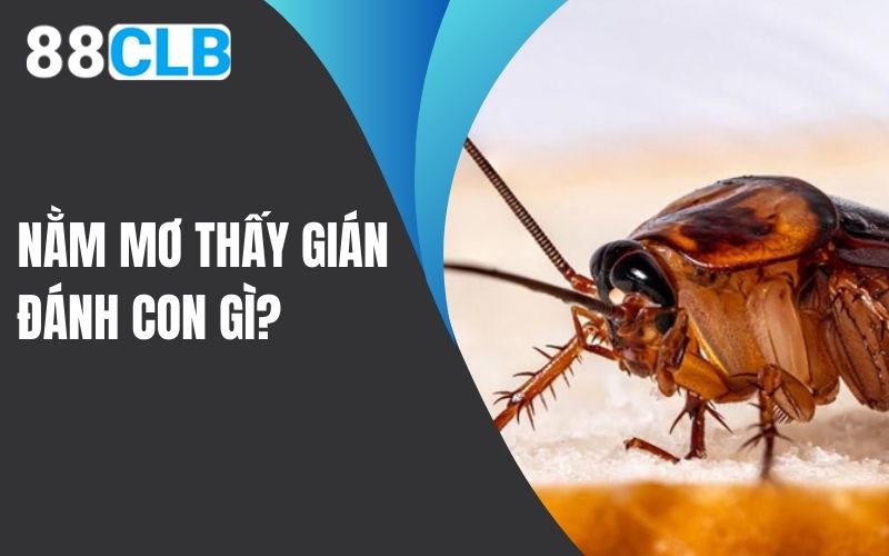 Nằm mơ thấy gián đánh con gì trúng lớn?